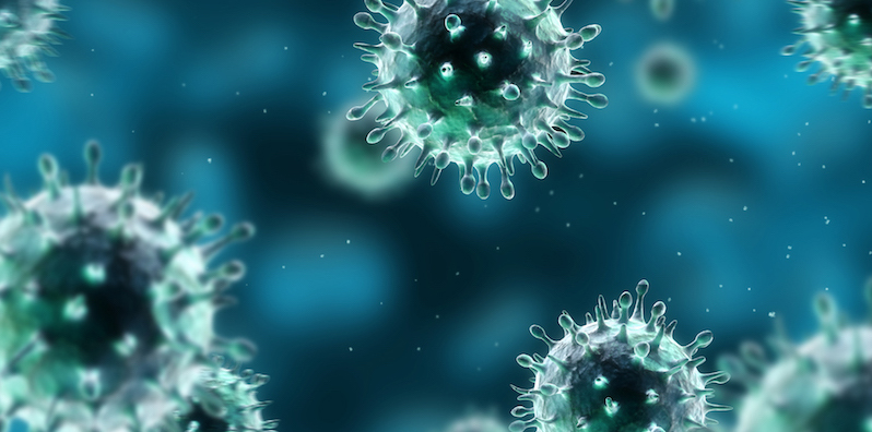 Virus